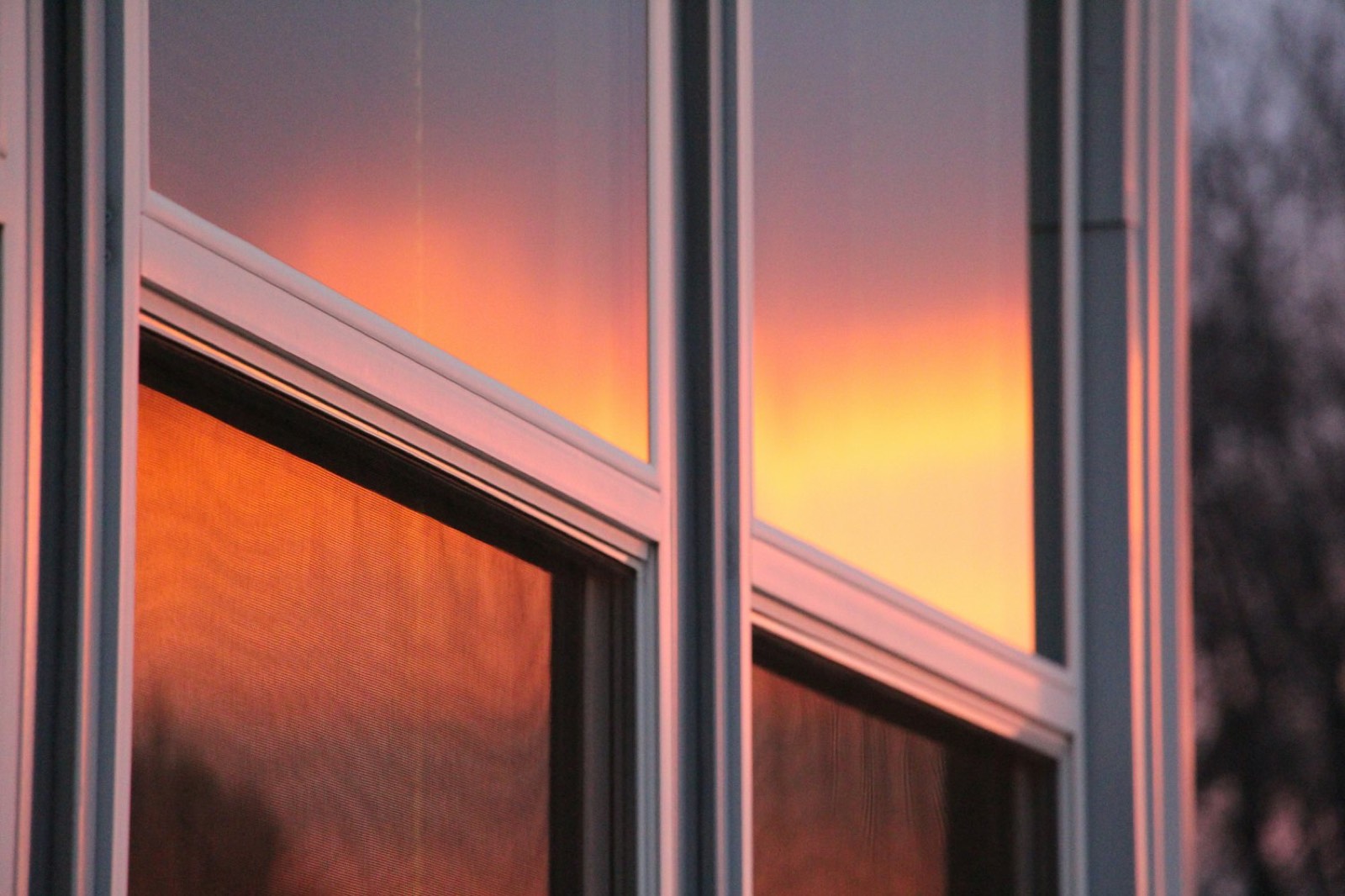 Flush sash windows